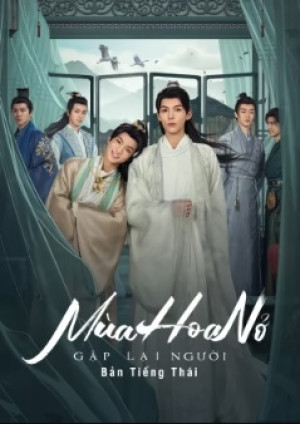 Mùa Hoa Nở Gặp Lại Người (Meet You At The Blossom) [2024]