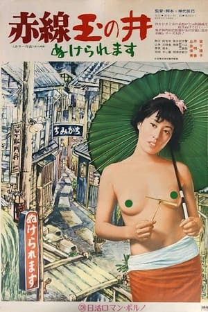 Mỹ Nữ (赤線玉の井 ぬけられます/Street of Joy) [1974]