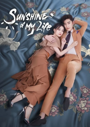 Nếu Em Bình An Đó Mới Là Ngày Đẹp Trời (Sunshine of My Life) [2021]