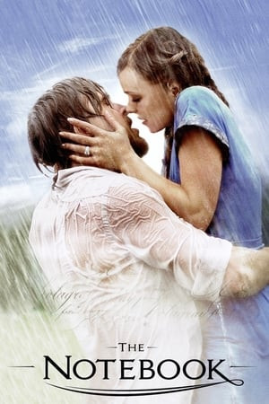 Nhật Ký Tình Yêu (2004) (The Notebook) [2004]