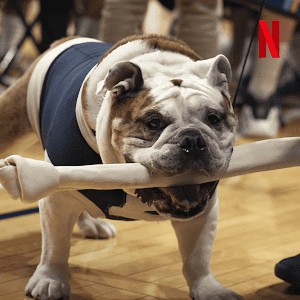 Những chú chó (Phần 2) (Dogs (Season 2)) [2020]