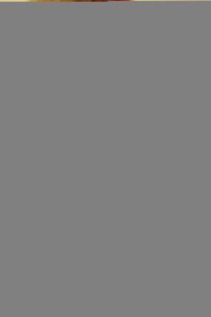 Những Ngày Cuối Của Ptolemy Grey (The Last Days of Ptolemy Grey) [2021]