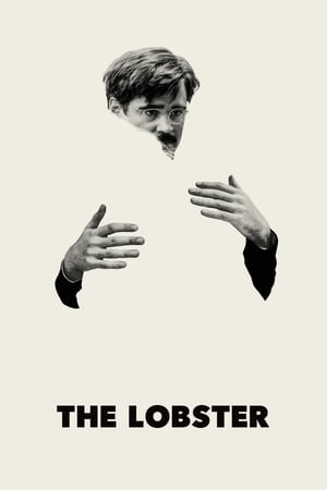 Những Người Độc Thân (The Lobster) [2015]