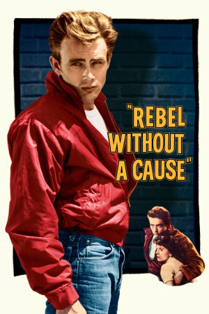 Nổi Loạn Vô Cớ (Rebel Without a Cause) [1955]