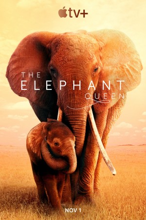 Nữ Hoàng Voi (The Elephant Queen) [2018]