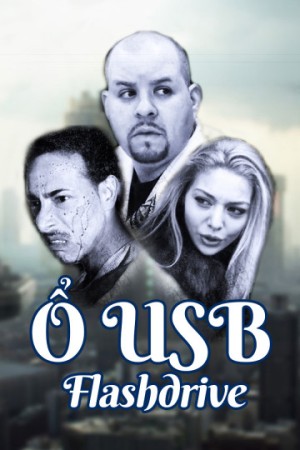 Ổ USB (Flashdrive) [2011]