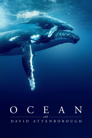 Ocean with David Attenborough (Ocean with David Attenborough) [2025]