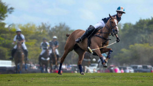 Xem phim Polo