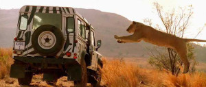 Xem phim Prey