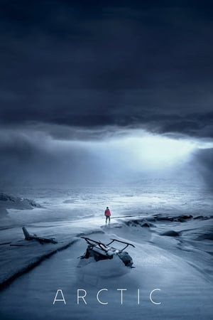 Sinh Tồn Ở Bắc Cực (Arctic) [2018]
