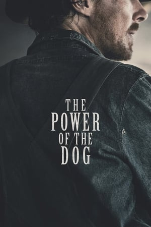 Sức Mạnh Của Loài Chó (The Power Of The Dog) [2021]