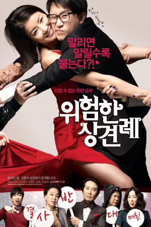Sui Gia Đại Chiến (Meet the In-Laws) [2010]