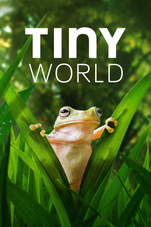 Thế Giới Siêu Nhỏ (Phần 2) (Tiny World (Season 2)) [2020]
