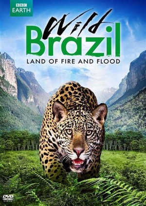 Thiên Nhiên Brazil Hoang Dã (Wild Brazil) [2013]