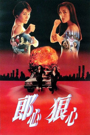 Trên Đường Bôn Tẩu (Women on the Run) [1993]
