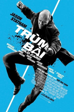 Trùm Bài (Wild Card) [2015]