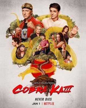 Võ Đường Cobra Kai (Phần 3) (Cobra Kai (Season 3)) [2021]