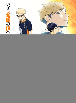 Vua Bóng Chuyền (Phần 4) (Haikyu!! S4) [2020]