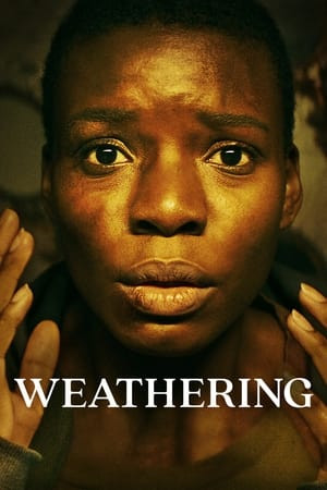 Vụn Vỡ (Weathering) [2023]