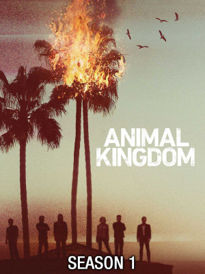 Vương Quốc Tội Phạm (Phần 1) (Animal Kingdom (Season 1)) [2016]