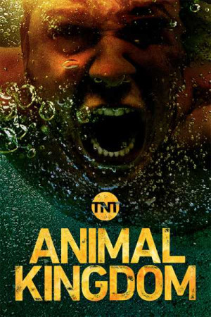 Vương Quốc Tội Phạm (Phần 3) (Animal Kingdom (Season 3)) [2018]