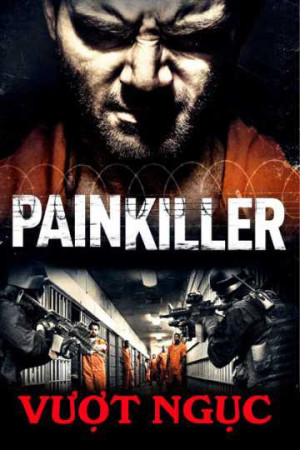 Vượt Ngục (Painkiller) [2012]