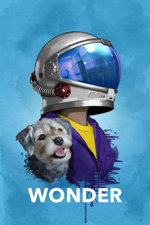 Wonder (Wonder) [2016]