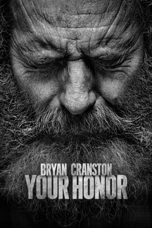Your Honor (Phần 2) (Your Honor (Season 2)) [2022]